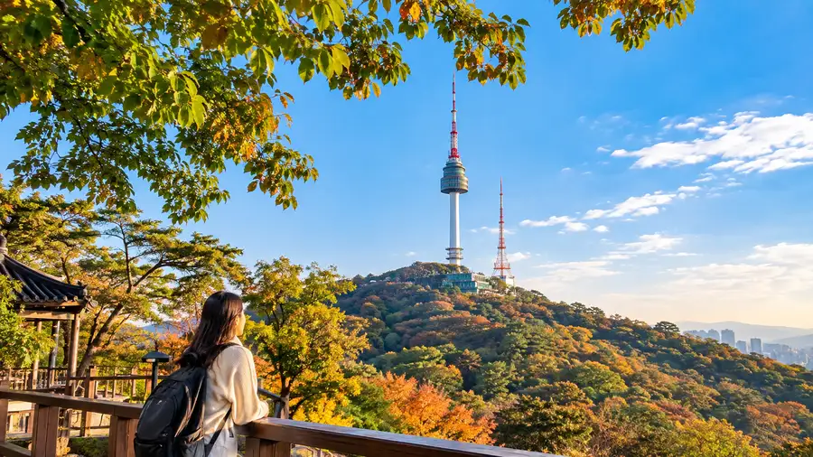 Exploring Namsan Park & Mountain