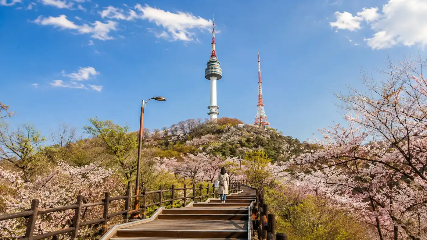 Exploring Namsan Park & Mountain